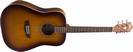 גיטרה אקוסטית וושבורן WASHBURN WD7SATB