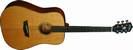 גיטרה אקוסטית וושבורן WASHBURN WD160SW