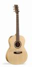 גיטרה אקוסטית גודין נורמן GODIN-NORMAN B20 Folk