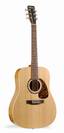 גיטרה אקוסטית גודין נורמן GODIN-NORMAN B18