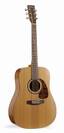 גיטרה אקוסטית גודין נורמן GODIN-NORMAN ST-40CW+TRIC case