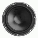 אלמנט 10" APEXTONE RS01-10