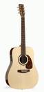 גיטרה אקוסטית גודין נורמן GODIN-NORMAN ST-68+ Tric case
