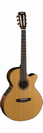 גיטרה קלאסית מוגברת קורט CORT CEC-7 FISMAN Presys