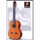 גיטרה קלאסית RAIMUNDO 130