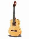 גיטרה קלאסית פלמנקו RAIMUNDO 160