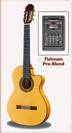 גיטרה קלאסית מוגברת RAIMUNDO 646E Flamaneco Cut-Away