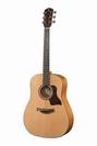 גיטרה אקוסטית RAIMUNDO DC200E