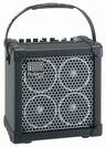 מגבר נייד רולנד ROLAND MICRO CUBE RX