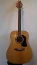 גיטרה אקוסטית וושבורן WASHBURN D10S NAT