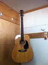 גיטרה אקוסטית אפיפון Epiphone TALENT TE-201E