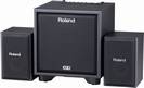 מערכת מוניטורים רולנד ROLAND CUBE Monitor CM-110