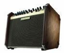 מגבר לאקוסטית פישמן FISHMAN LOUDBOX ARTIST