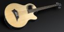 גיטרה בס אקוסטית 4 מיתרים וורוויק WARWICK ALIEN STANDARD