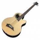 גיטרה בס אקוסטית 5 מיתרים וורוויק WARWICK ALIEN STANDARD