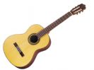 גיטרה קלאסית WALDEN Solid top WD N560