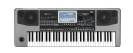 אורגן קורג KORG PA900