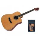 גיטרה אקוסטית מוגברת וושבורן WASHBURN D10CEQ