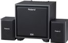 מגבר רולנד ROLAND CM-220