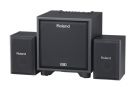 מגבר רולנד ROLAND CM-110