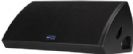 רמקול מוניטור מוגבר RCF TT45-SMA