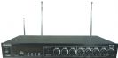 סט אלחוטי Professional Audio SV-55