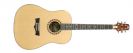 גיטרה אקוסטית פיוי PEAVEY DW-1