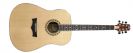 גיטרה אקוסטית פיוי PEAVEY DW-2