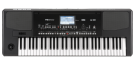 אורגן קורג KORG PA300