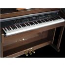 פסנתר חשמלי +3 שנות אחריות RINGWAY TG8862 Walnut