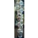 חורים פתוחים ציפוי כסף מיאזאווה MIYAZAWA MJ101RE