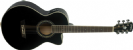 גיטרה אקוסטית וושבורן WASHBURN EA10B