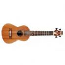 יוקללה פיווי PEAVEY STUDENT