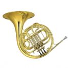 קרן יער כפולה צבע זהב אמטי AMATI AHR345H-O