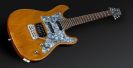 גיטרה חשמלית פרמוס FRAMUS DIABLO HONEY VIOLIN