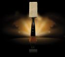 מברשת לניקוי גיטרה MusicNomad The Nomad Tool MN205