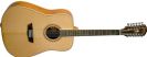 גיטרה אקוסטית 12-מיתרים וושבורן WASHBURN WD10S12