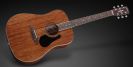 גיטרה אקוסטית פרמוס FRAMUS Legacy