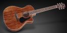 גיטרה אקוסטית מוגברת פרמוס FRAMUS Legacy Grand Auditorium cutaway