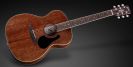 גיטרה אקוסטית פרמוס FRAMUS Legacy folk