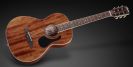 גיטרה אקוסטית פרמוס FRAMUS Legacy Parlor
