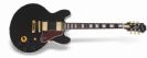 גיטרה חשמלית אפיפון EPIPHONE "B. B. King" LUCILLE