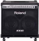 מגבר רולנד ROLAND D-BASS 210