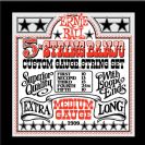 מיתרים ארני בל ERNIE BALL 2309 Stainless Steel Banjo Medium