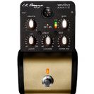 L.R BAGGS Session DI with analog saturation and multiband compression/EQ