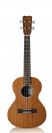 יוקללה טנור איכותי CORDOBA GUITARS 20TM