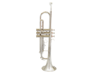 חצוצרה GOLDEN CUP JHTR1401N nickel plated