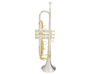 חצוצרה GOLDEN CUP JHTR1401D double colorsd