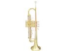 חצוצרה GOLDEN CUP JHTR1404 Yamaha style