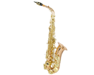 סקסופון אלט (GOLDEN CUP JHAS1102RL alto saxophone(rose copper